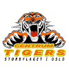 CentrumTigers